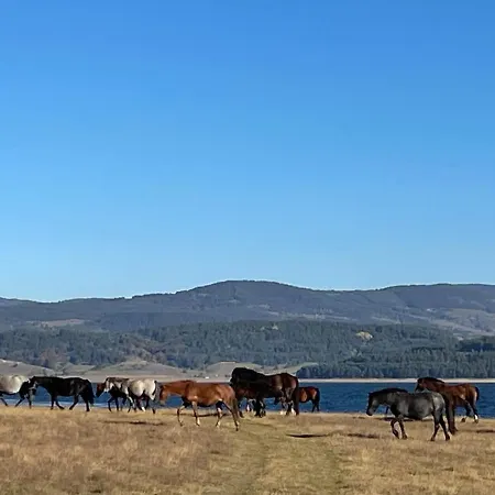 Premium In Private Nisim 公寓 *