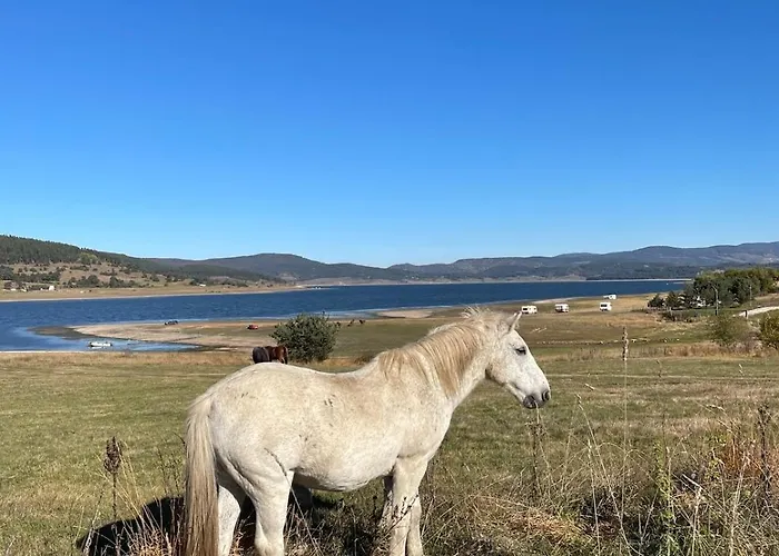 Premium In Private Nisim 公寓 *