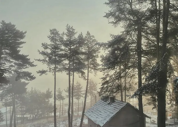 Premium In Private Nisim